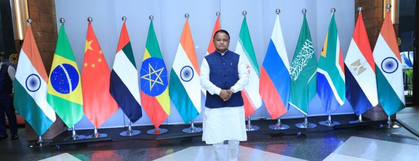 Second BRICS technical meeting Disaster Risk reduction group